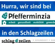 2020-06-26 Pfefferminzia Artikelvorlage durch Die Finanzprüfer