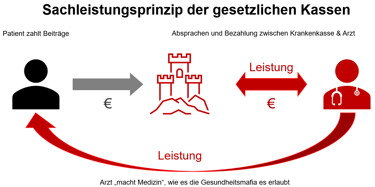 Sachleistungsprinzip der GKV